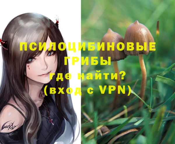 МДПВ Корсаков