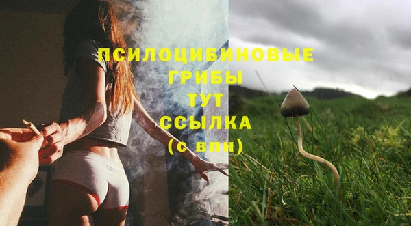 тгк Костерёво