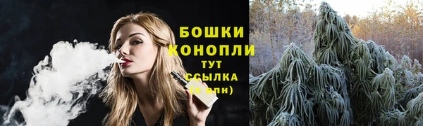 тгк Костерёво