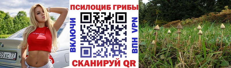 Купить  Шахты  Галлюциногенные грибы ЛСД 